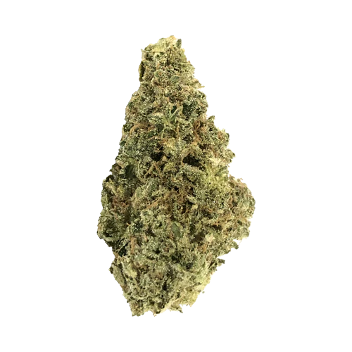 52365_b_500x